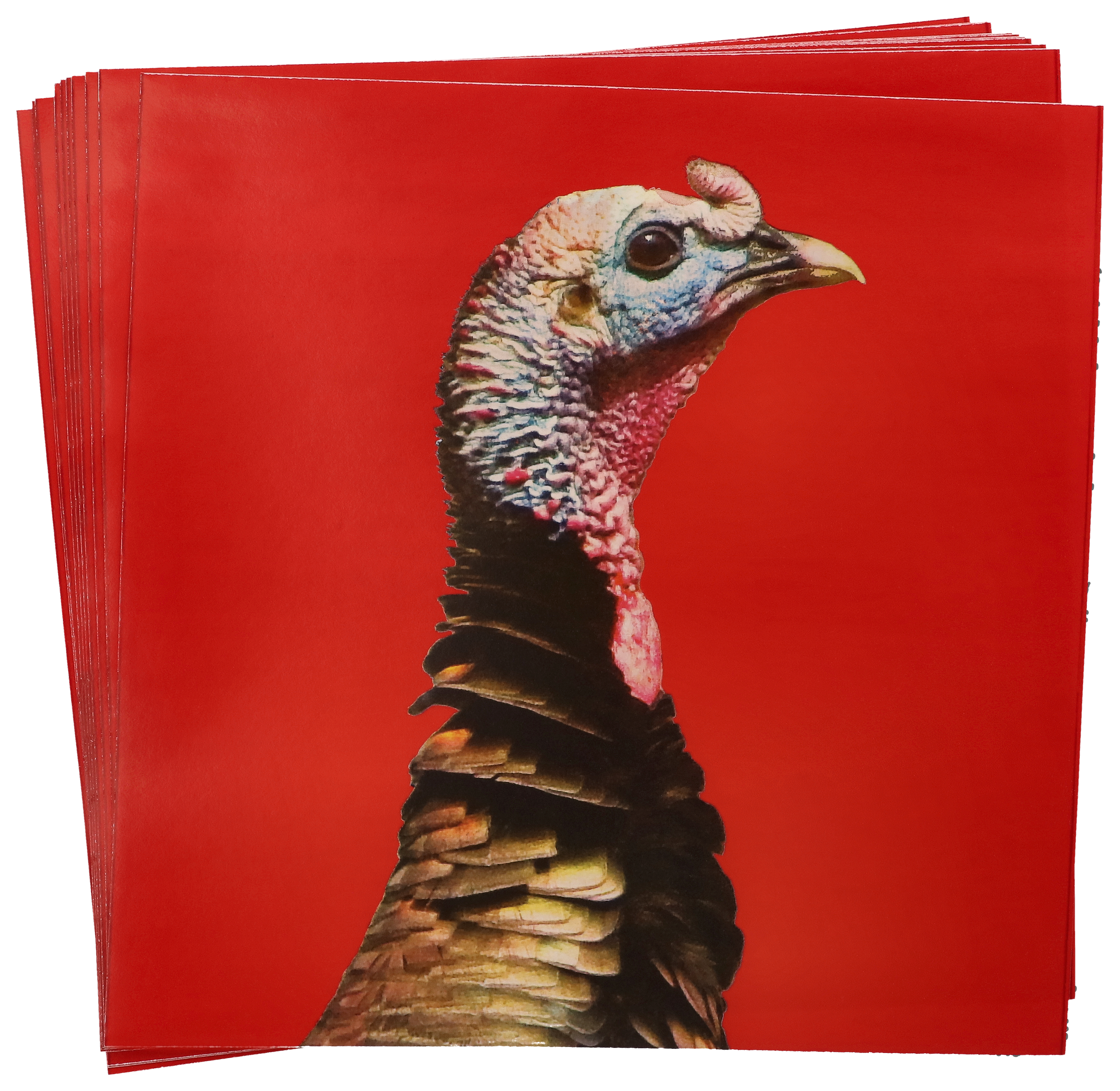 RangeMaxx FlakeOff Turkey Shooting Targets Bass Pro Shops